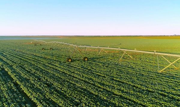 Wyma supporting growth in Australian vegetable production