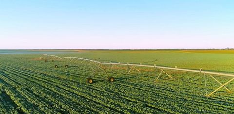 Wyma supporting growth in Australian vegetable production