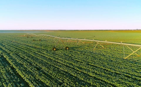 Wyma supporting growth in Australian vegetable production Wyma supporting growth in Australian vegetable production