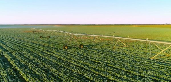 Wyma supporting growth in Australian vegetable production