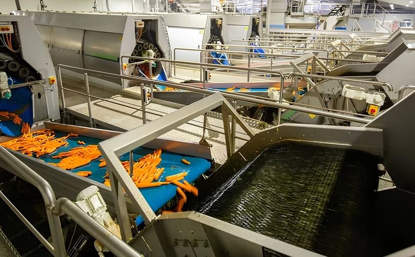 The Wyma Hedgehog Top Remover lifts leaf, vine, and soil from carrots, parsnips, and similar crops—suitable for wet or dry conditions. The Wyma Hedgehog Top Remover lifts leaf, vine, and soil from carrots, parsnips, and similar crops—suitable for wet or dry conditions.