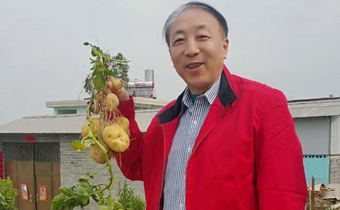 Xiaoping Lu, Advisor at WPC International 