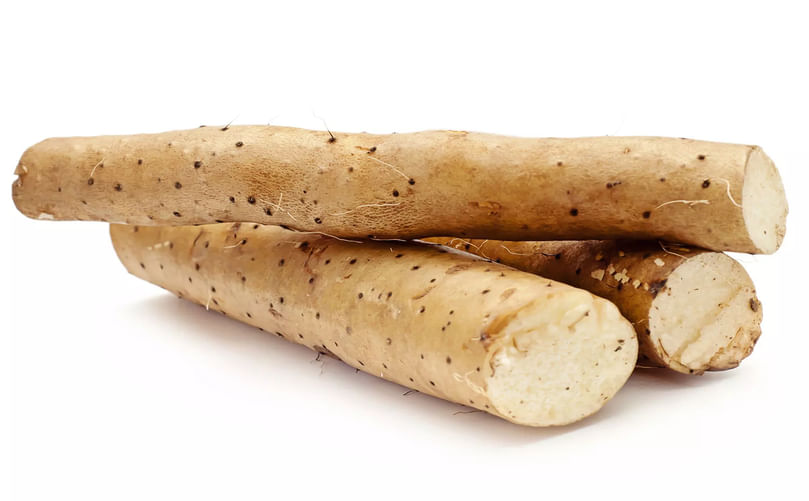 Healthy Yam from the Field