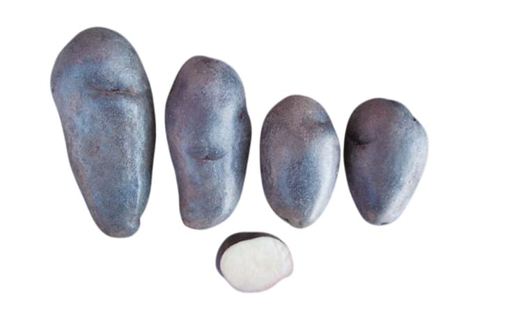 YANA QALA SUYTU YANA QALA SUYTU