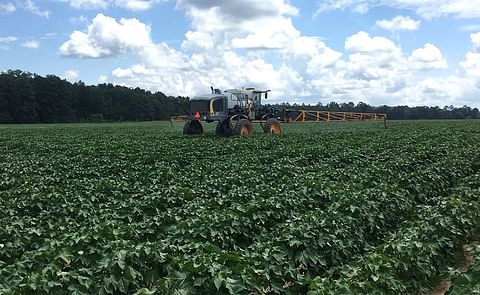 Yara Incubator Farm - Auburn Yara Incubator Farm - Auburn
