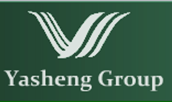  Yasheng Group