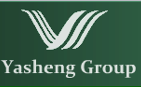 Yasheng Group to develop its potato processing business Yasheng Group to develop its potato processing business