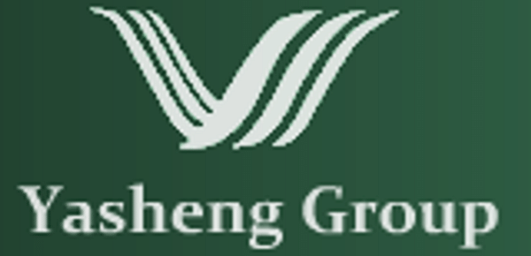  Yasheng Group