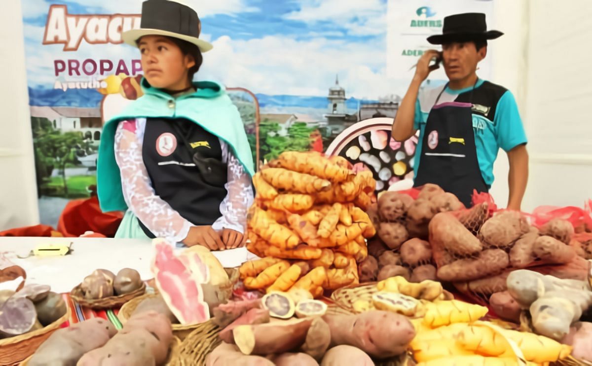 Yawar, una papa encendida en sangre Yawar, una papa encendida en sangre