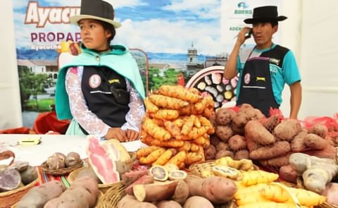 Yawar, una papa encendida en sangre Yawar, una papa encendida en sangre