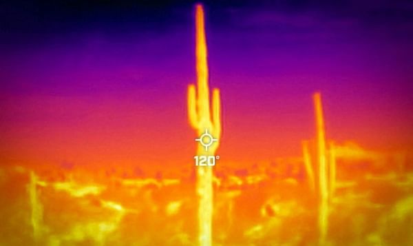 Un cactus saguaro se ve durante una ola de calor de 27 días con temperaturas superiores a 110 grados Fahrenheit (43 grados Celsius) en el Desert Botanical Garden en Phoenix, Arizona, EE. UU., el 26 de julio de 2023. El 26 de julio a las 09:50 (GMT-7), una