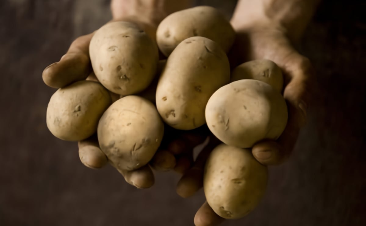 Diamond Foods Acquires Majority Interest in Yellow Chips Diamond Foods Acquires Majority Interest in Yellow Chips