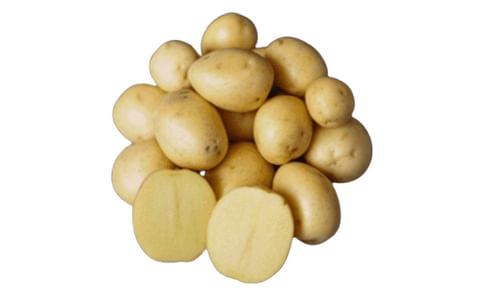 Yellow Star Yellow Star