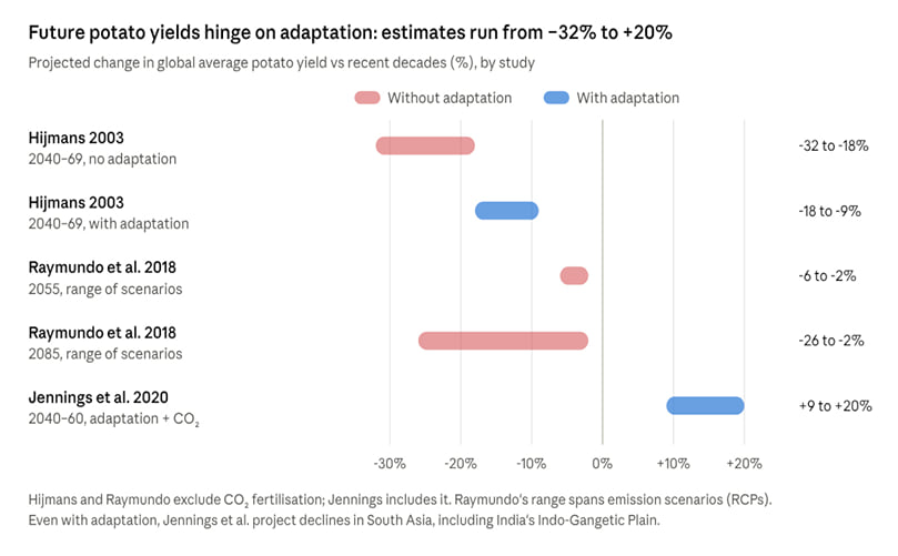 Without adaptation, most studies project global potato yield losses; with new varieties, shifted planting and CO₂ fertilisation, yields could rise.