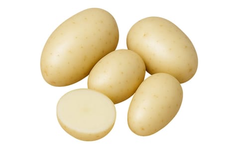 YOLMAEJO-SAENG YOLMAEJO-SAENG