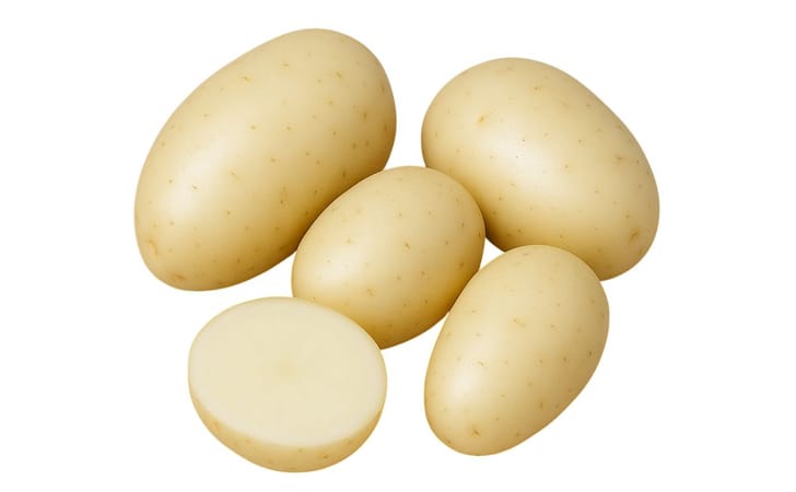 YOLMAEJO-SAENG YOLMAEJO-SAENG