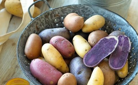 US Potato growers score with spending bill provision US Potato growers score with spending bill provision