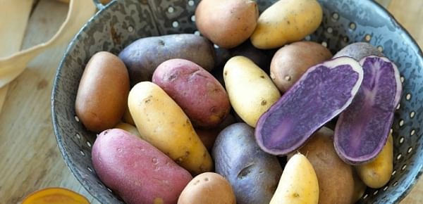 White potatoes: includes colored regular potatoes too!