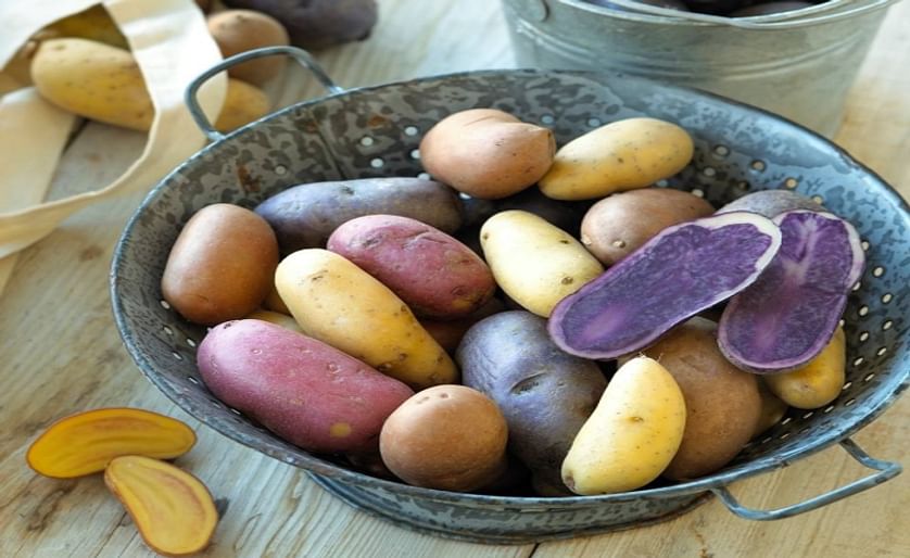 US Potato growers score with spending bill provision