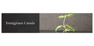 Youngplants Canada