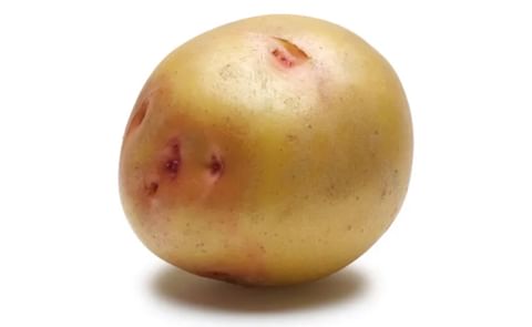 YUKON NUGGET YUKON NUGGET