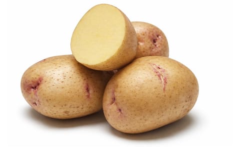 Success for Yukon Gem Yellow-fleshed Potato Success for Yukon Gem Yellow-fleshed Potato