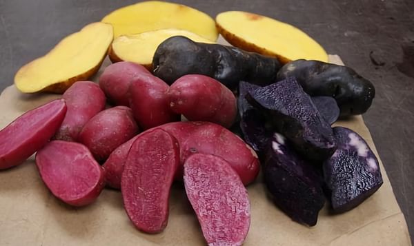 Yum Tasmania Gourmet potatoes. Purple Bliss is the darkest coloured potato on the right