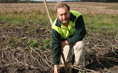 Tasmanian specialist potato grower exports as far as Dubai Tasmanian specialist potato grower exports as far as Dubai