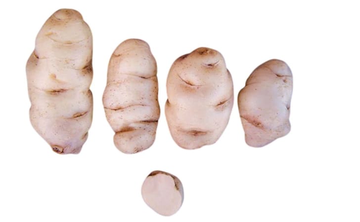 YURAQ SUYTU SIRI YURAQ SUYTU SIRI