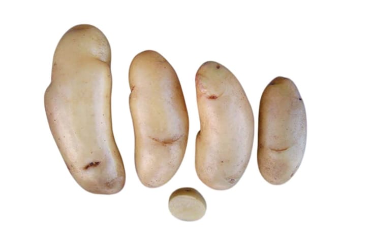 YURAQ SUYTU WAYRU YURAQ SUYTU WAYRU