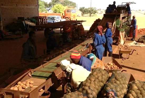 AgDevCo believes that profitable agriculture with strong links to markets is the best route out of poverty for the majority of Africa's rural poor. AgDevCo believes that profitable agriculture with strong links to markets is the best route out of poverty for the majority of Africa's rural poor.