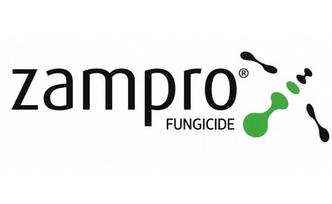Tuber blight added to Zampro DM fungicide label in the UK Tuber blight added to Zampro DM fungicide label in the UK