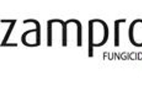 Tuber blight added to Zampro DM fungicide label in the UK Tuber blight added to Zampro DM fungicide label in the UK