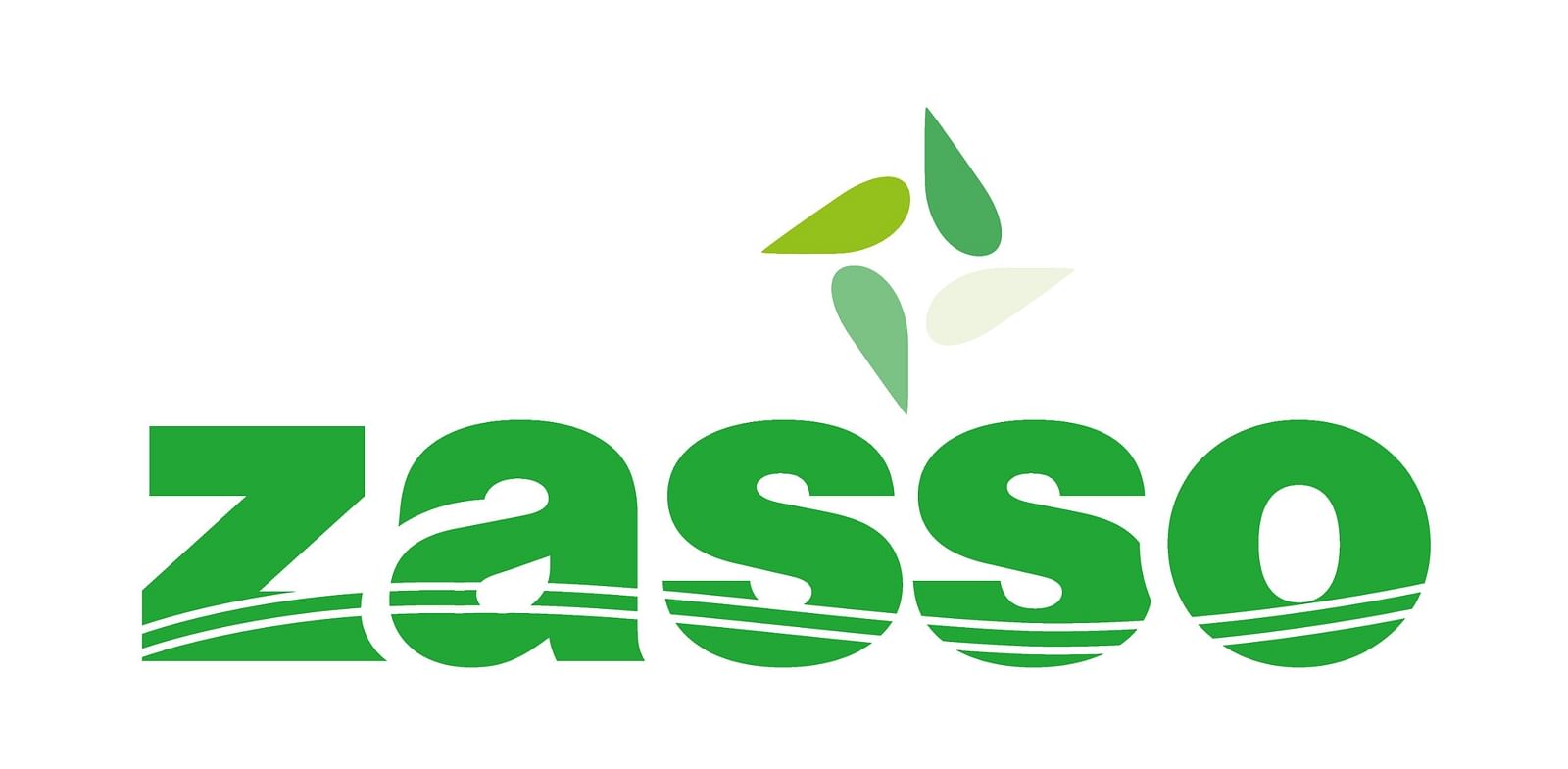 Zasso GmbH