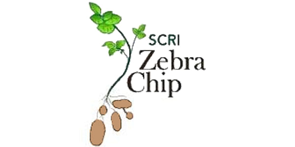 SCRI 2011 Zebra Chip Annual Reporting Session
