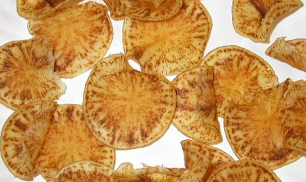 No Liberibacter (zebra chip pathogen) found in potato psyillids in Western Australia