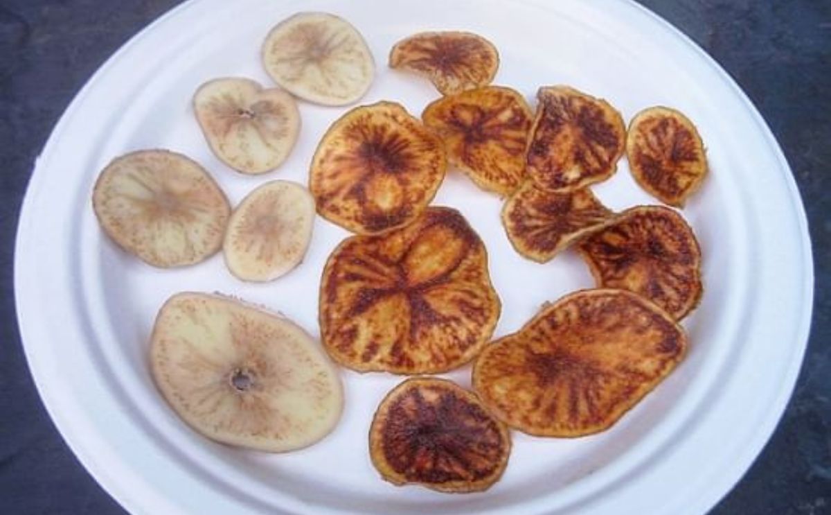 zebrachip symptoms in fried potatoes zebrachip symptoms in fried potatoes