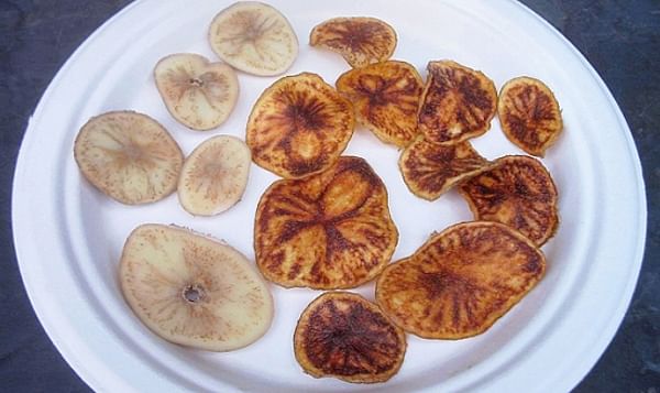 zebrachip symptoms in fried potatoes