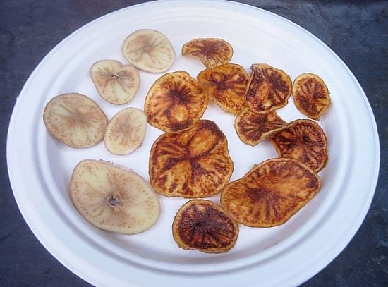 The effect of zebra chip disease in fried potatoes (Photo: ARS)