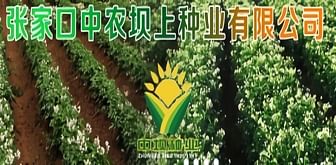 Zhongnong Seed Industry
