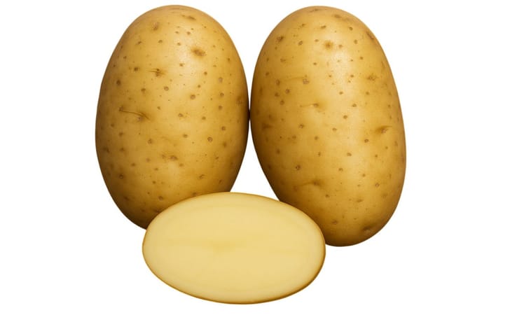 ZHONGSHU 3 ZHONGSHU 3