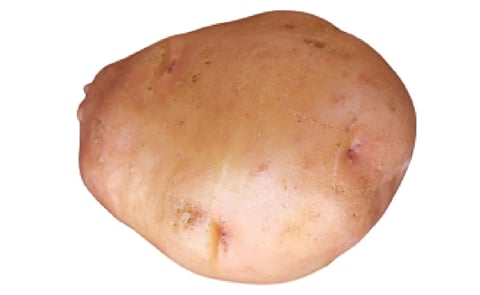 ZIKOMO ZIKOMO