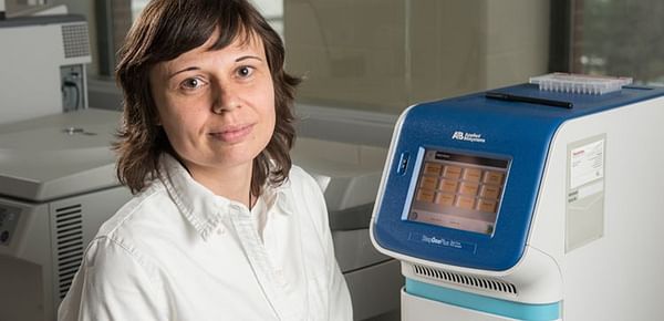 Zsofia Szendrei, professor in MSU's Department of Entomology