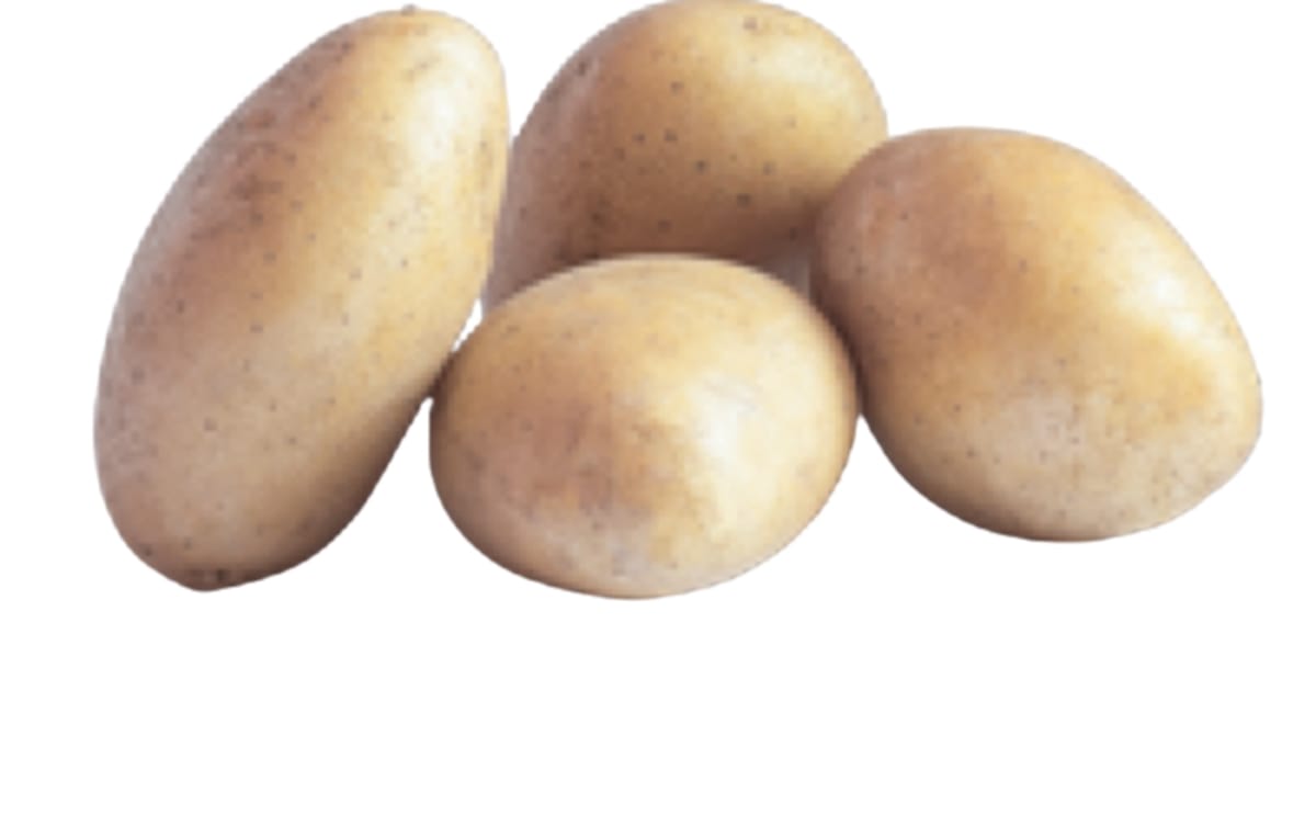ZAGIEL PotatoPro